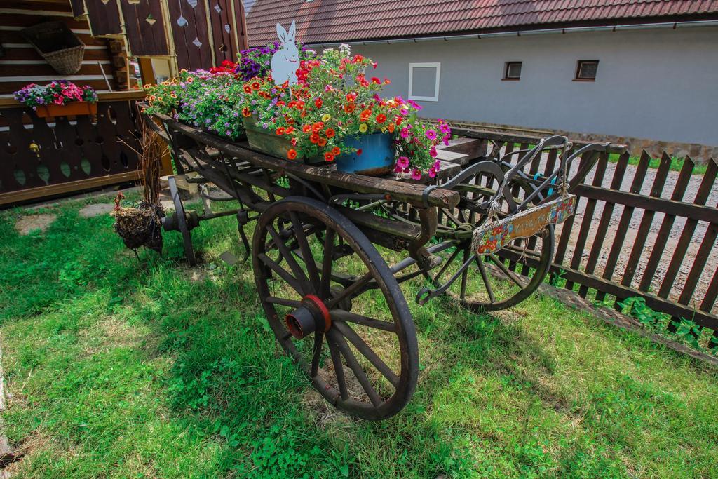 Penzion Stary Hostinec Banská Štiavnica エクステリア 写真