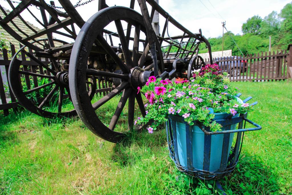 Penzion Stary Hostinec Banská Štiavnica エクステリア 写真